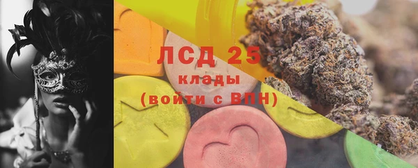 spice Гусев