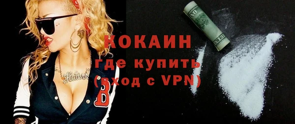 spice Гусев