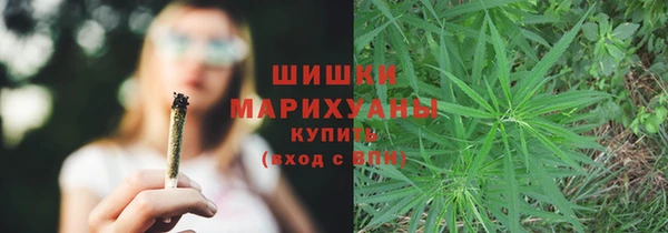 spice Гусев