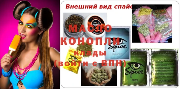 spice Гусев