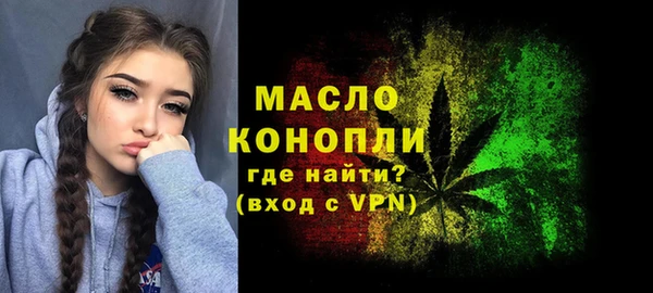 spice Гусев