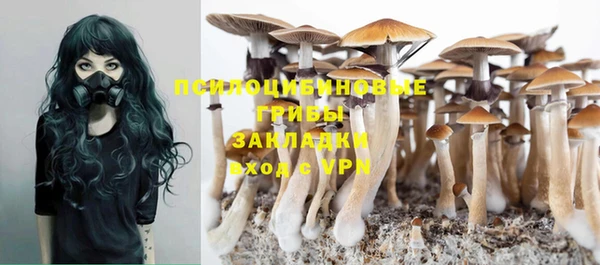 MESCALINE Гусиноозёрск